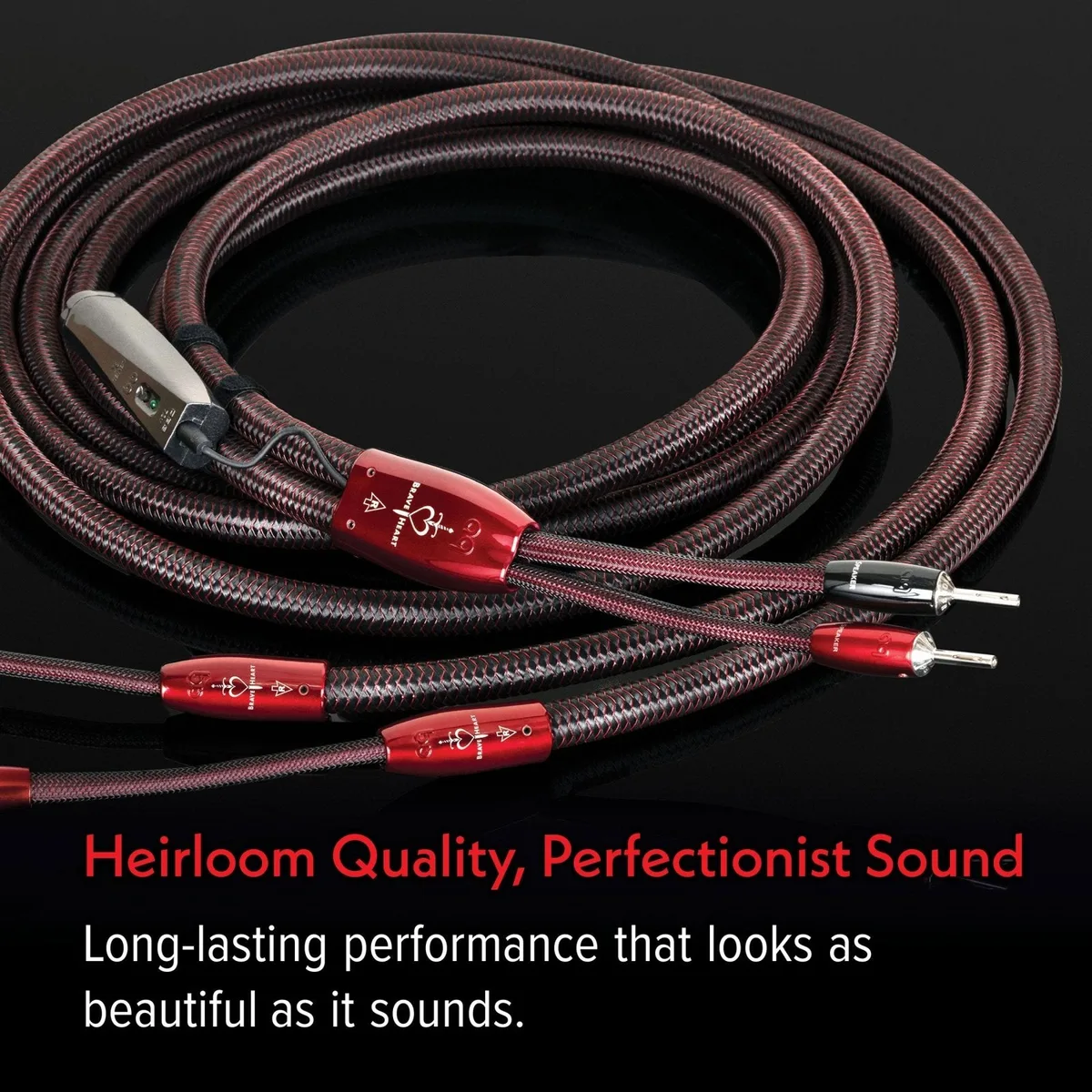 AUDIOQUEST Brave Heart Full-Range 產品圖片 3