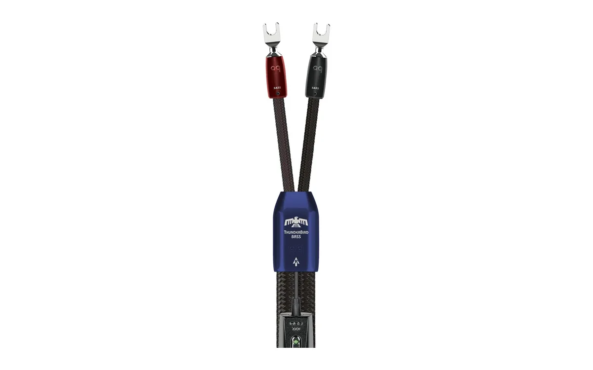 AUDIOQUEST ThunderBird BASS (2)