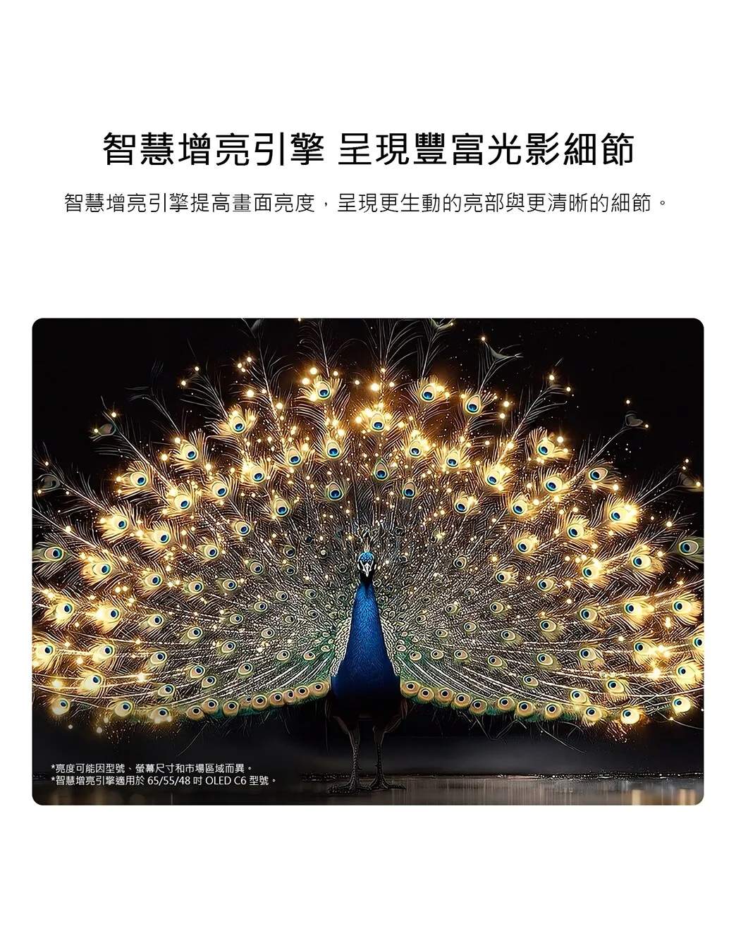 LG OLED65C6PTA 產品圖片 4