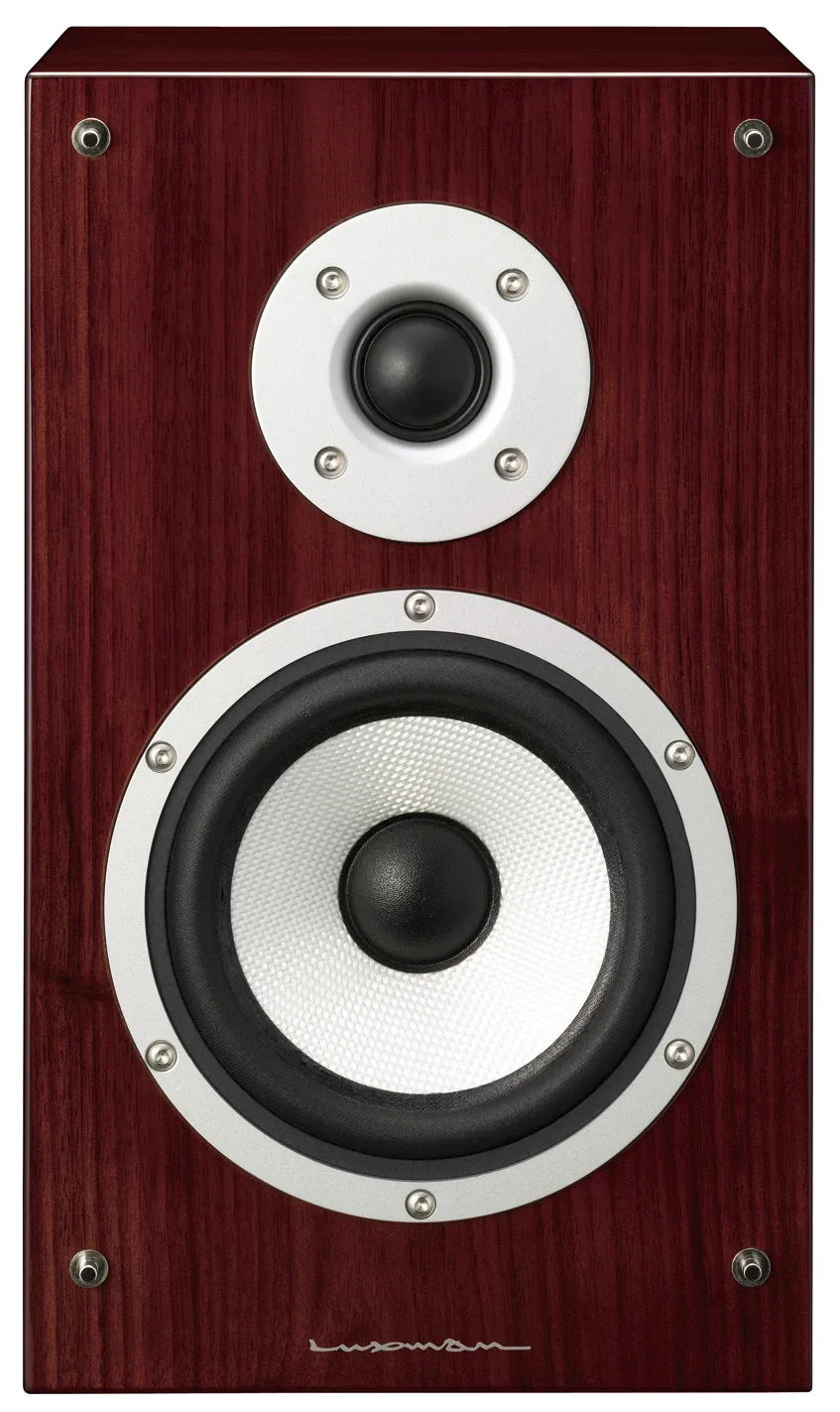 LUXMAN S-N100 產品圖片 1