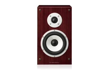 LUXMAN S-N100