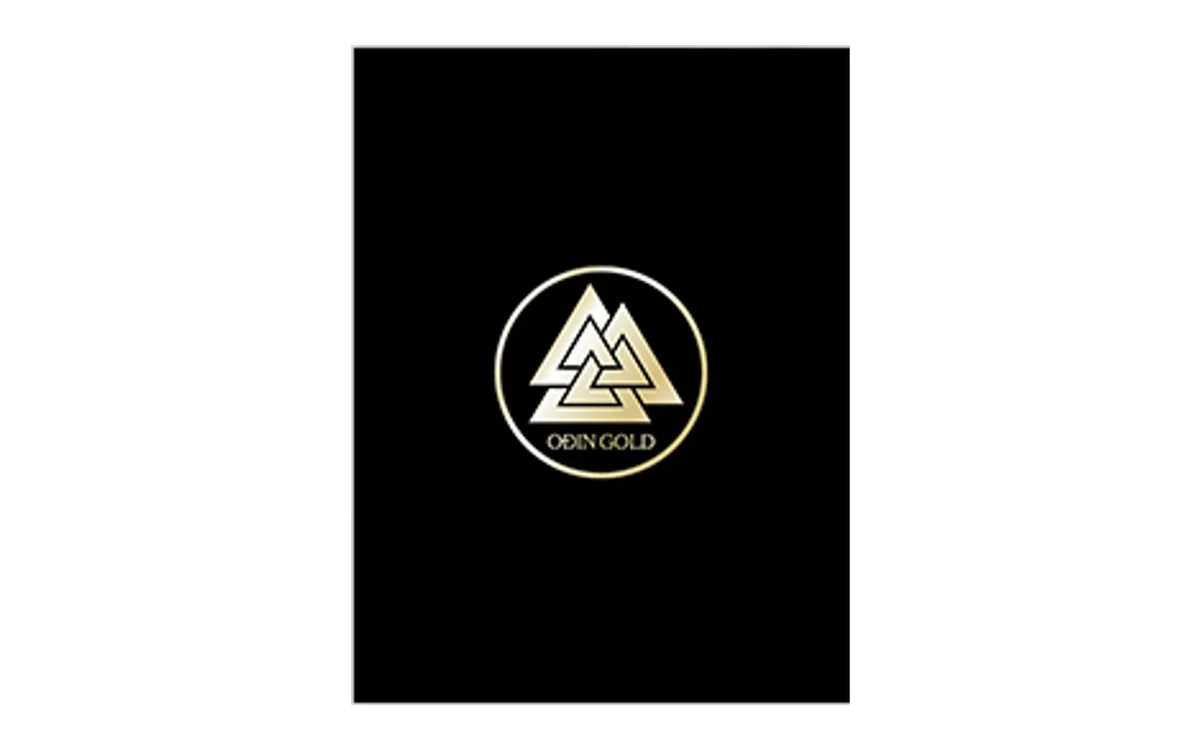 NORDOST ODINGOLD 產品圖片 1