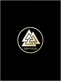 NORDOST ODINGOLD 產品圖片 1