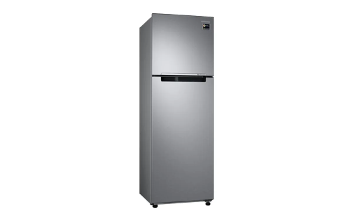 SAMSUNG RT25M4015S8 產品圖片 1