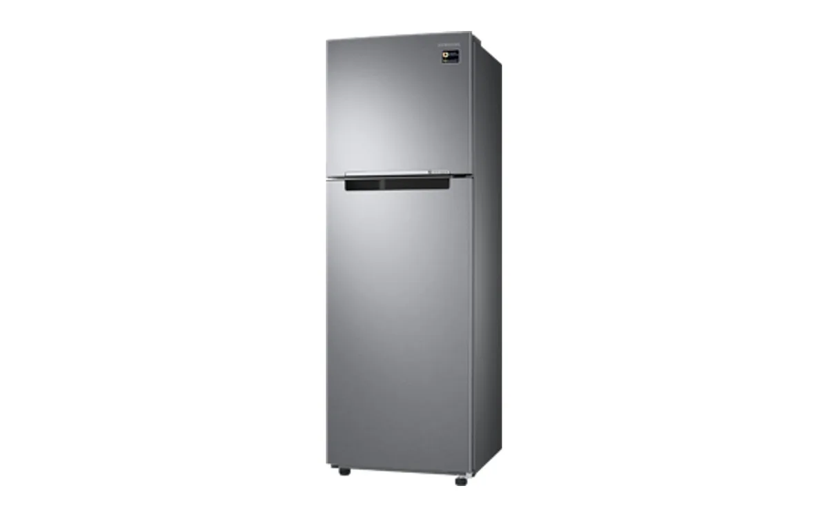 SAMSUNG RT25M4015S8 產品圖片 2