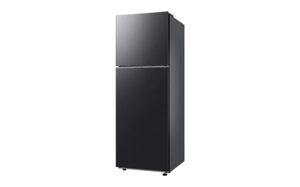 SAMSUNG RT35CG562CB1 產品圖片 2