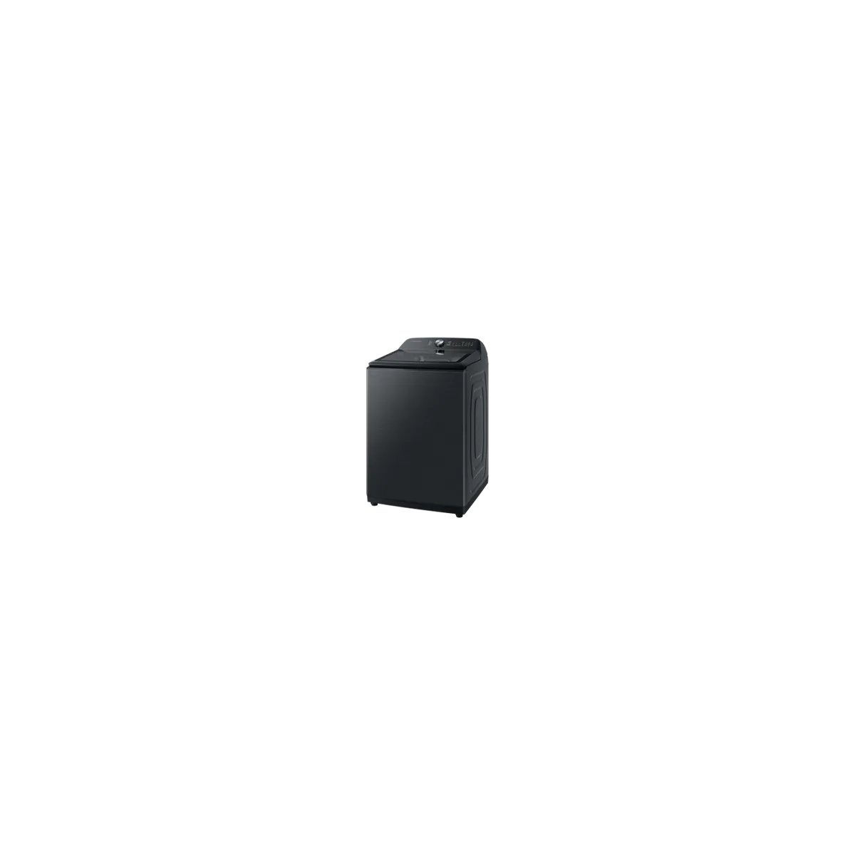 SAMSUNG WA19A8370GV 產品圖片 1