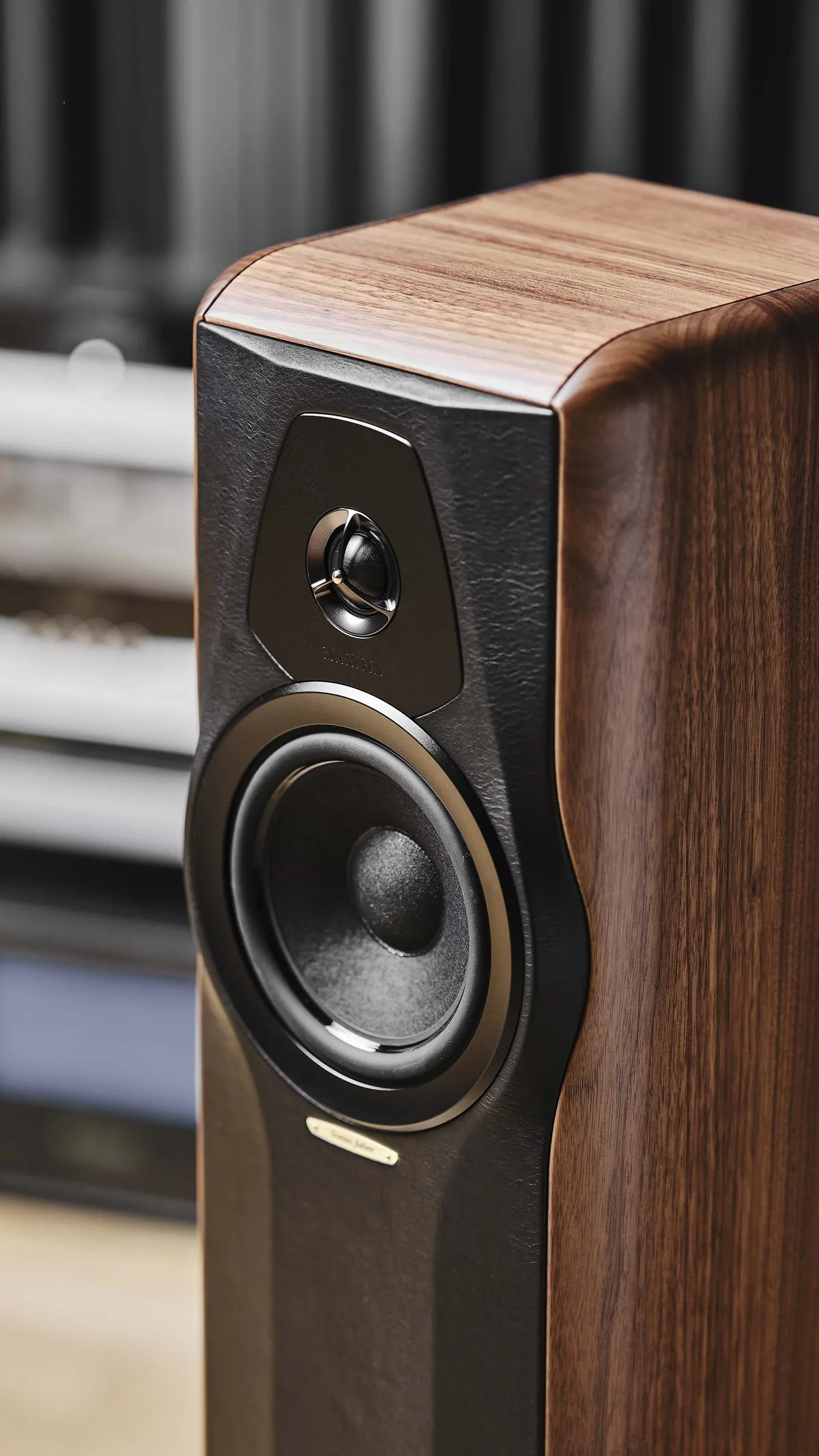 SONUS_FABER Maxima Amator 產品圖片 2
