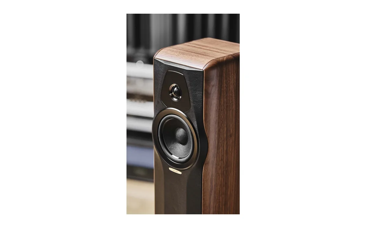 SONUS_FABER Maxima Amator 產品圖片 2