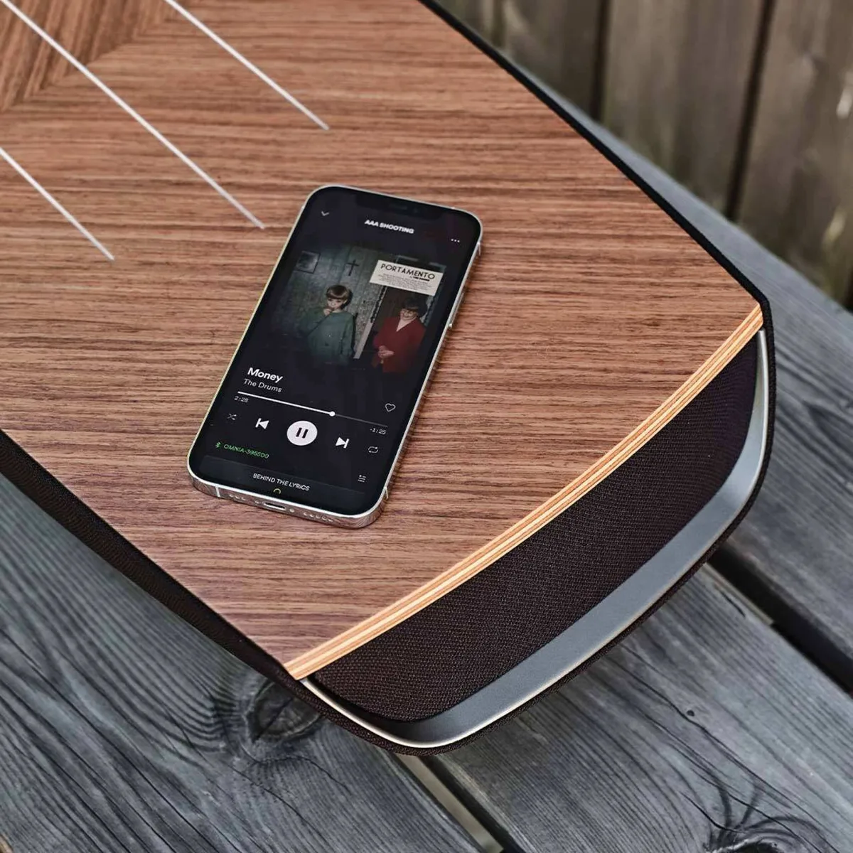 SONUS_FABER Omnia 產品圖片 3