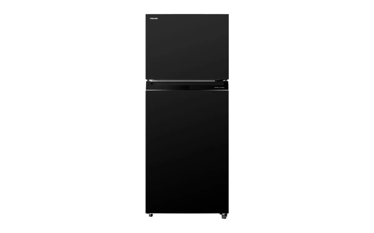 TOSHIBA GR-RT624WE-PGT 產品圖片 2