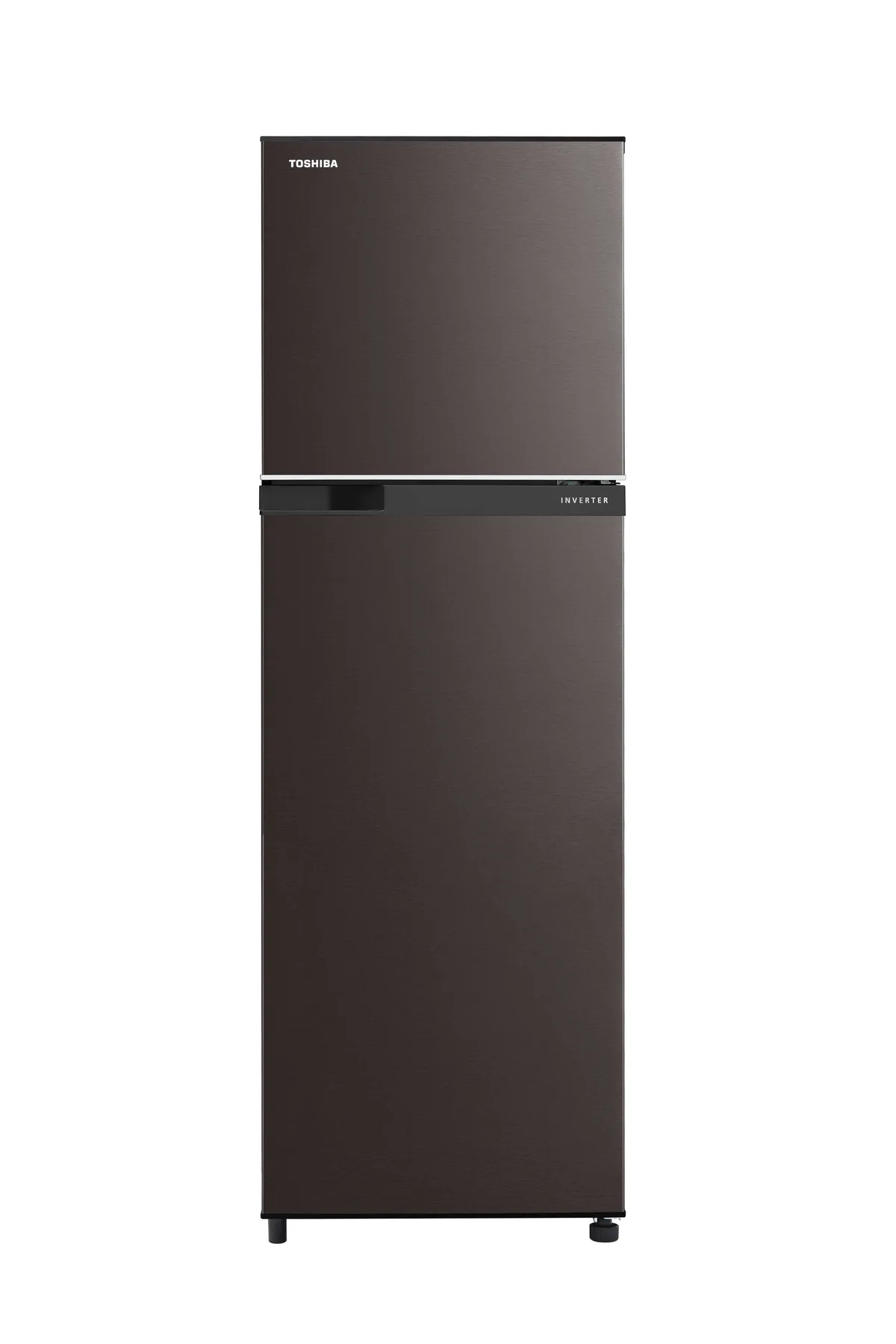 TOSHIBA GR-B31TP 產品圖片 1